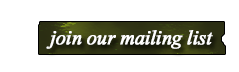 Newsletter Sign Up